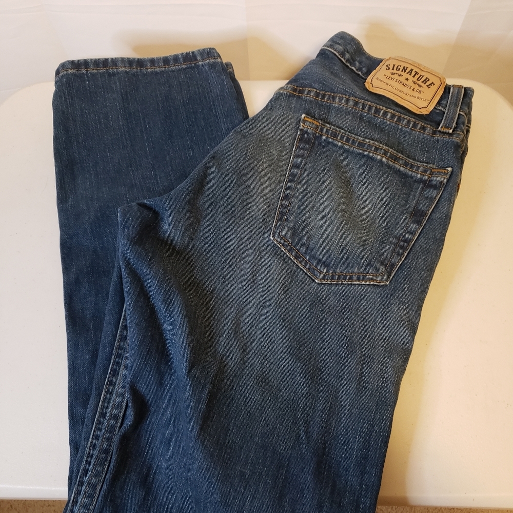 Levi Strauss & Co. Signature Regular Fit Blue Jean